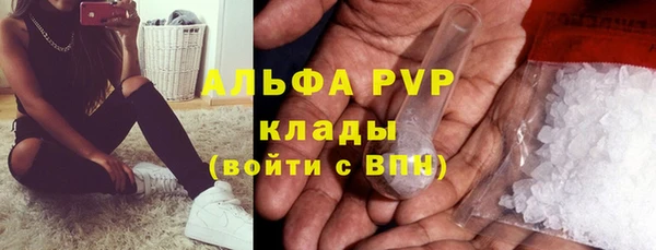 прущие крисы Абаза