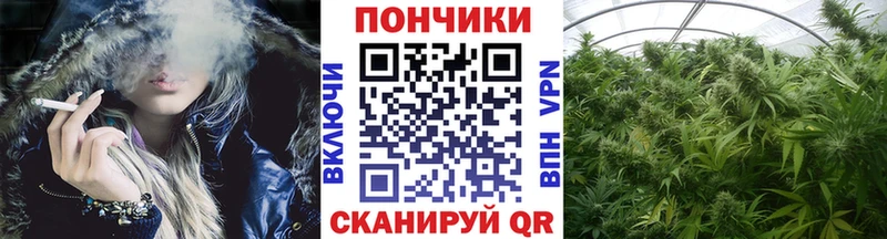 Канабис VHQ  Подпорожье 